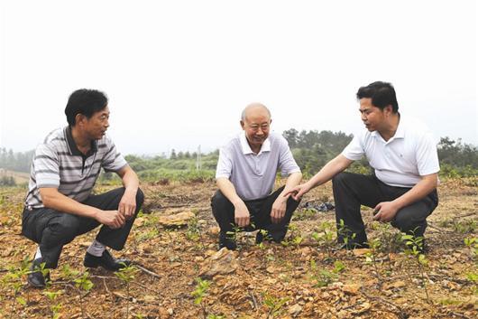 图文:退休大校徐宗元甘当扶贫义工 - 凤凰镇 - 阳逻在线 - 新洲门户
