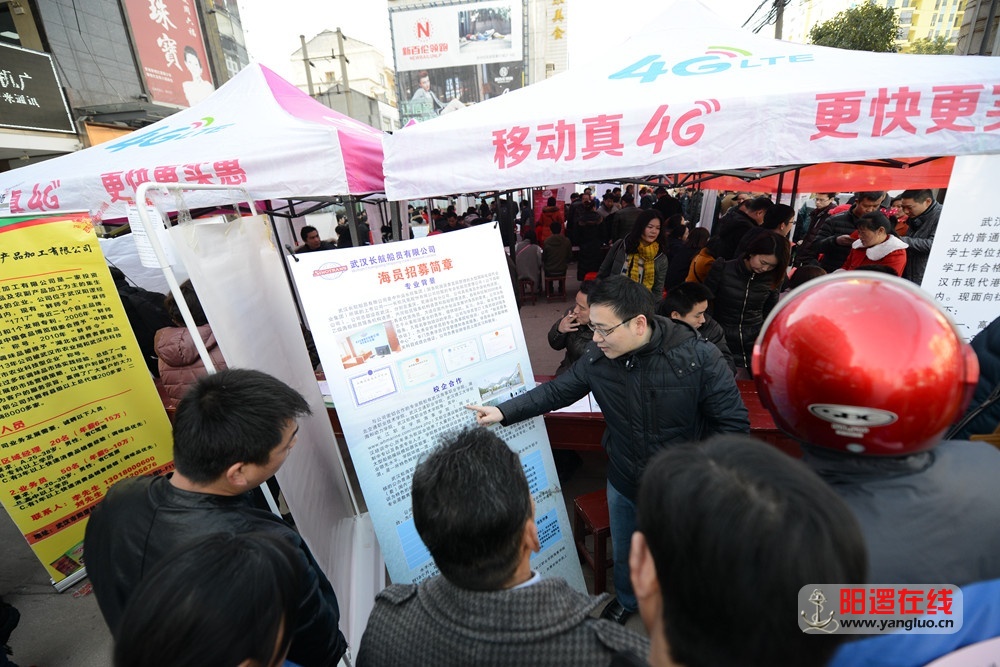阳逻招聘_新洲招聘 阳逻在线