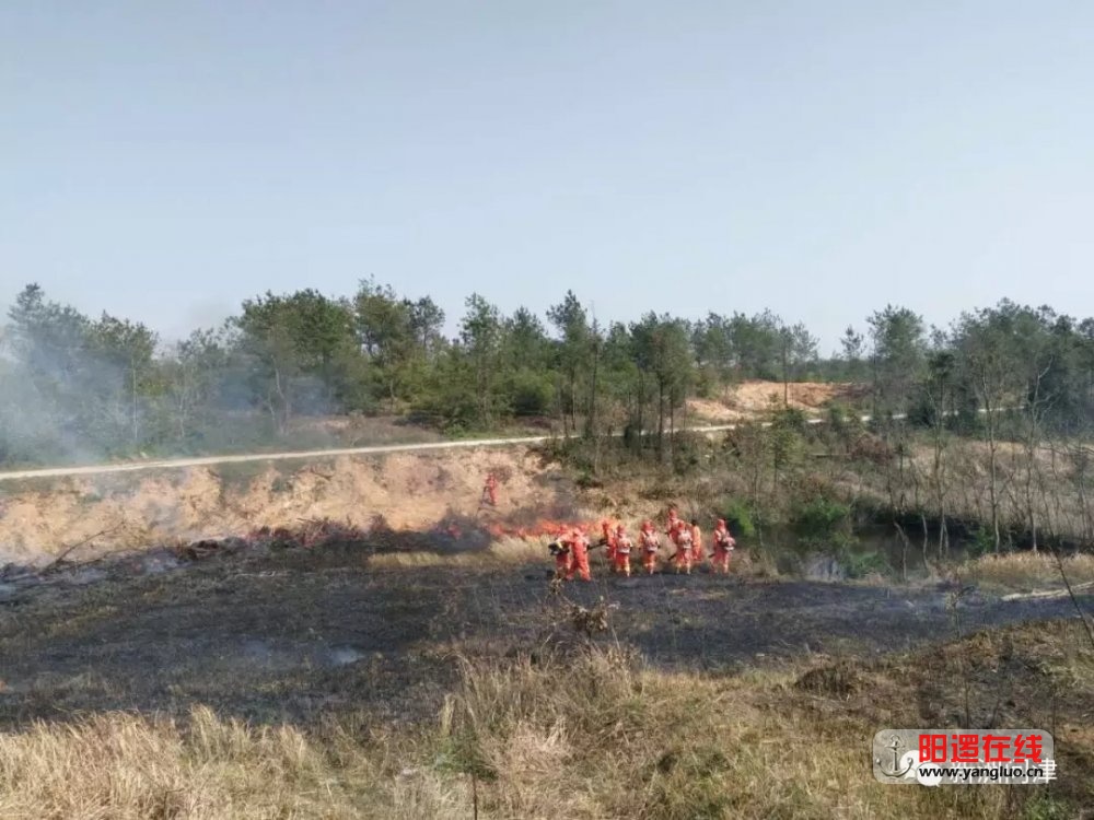 李集街人口