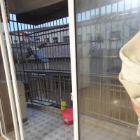 房屋出租！价格优惠！
