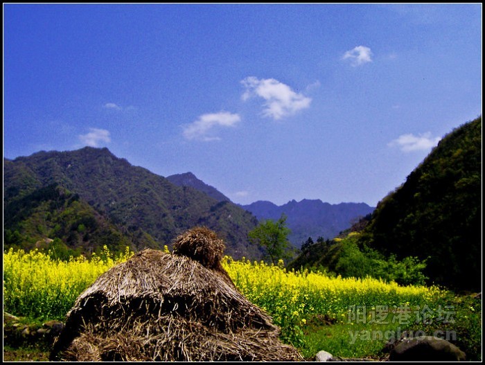 101_2080竹山.jpg