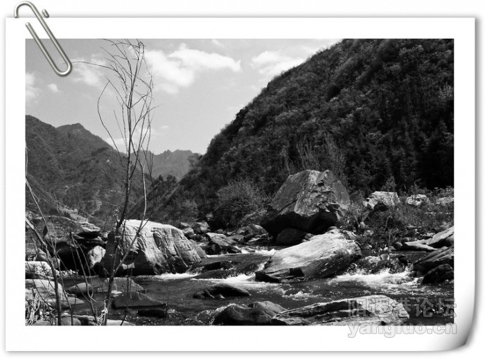 101_2082竹山.jpg