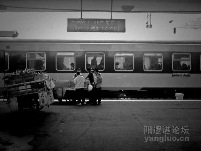P150610_12.09[01].jpg