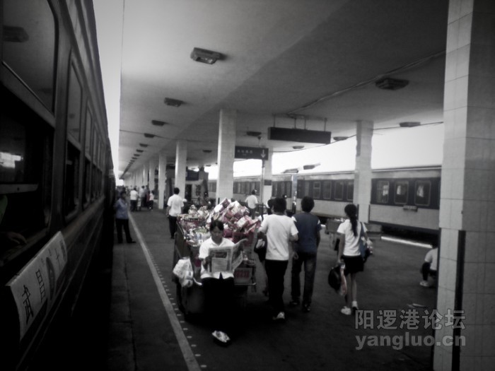 P150610_12.24[01].jpg