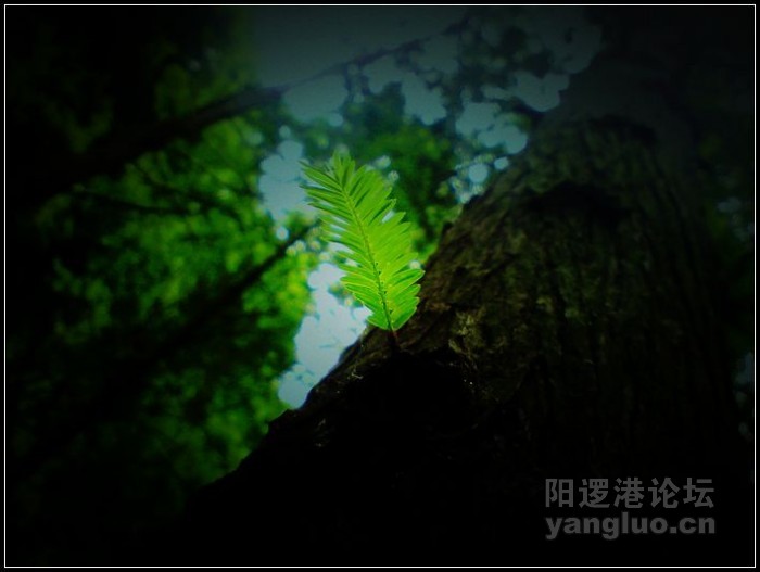 P150510_12.58.JPG