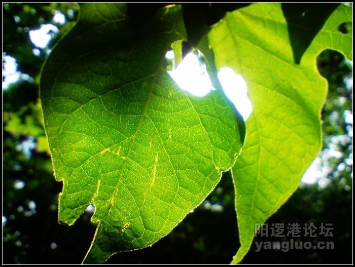 P150510_13.38.JPG