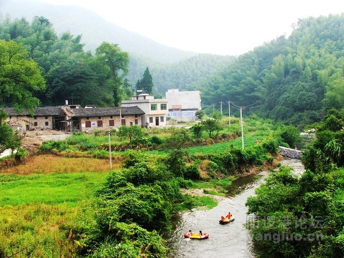 DSCF8806.jpg