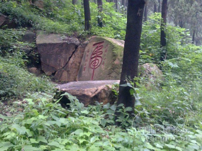 调整大小 20100814087.jpg