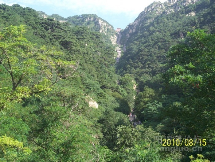 回望十八盘－泰山最险处.jpg