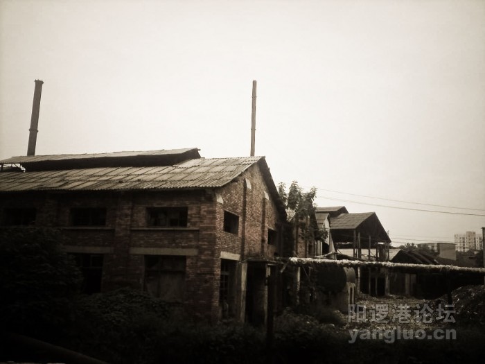 P020910_16.22-1.jpg
