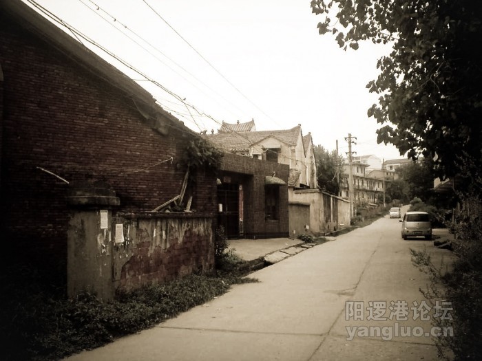 P020910_16.25-1.jpg