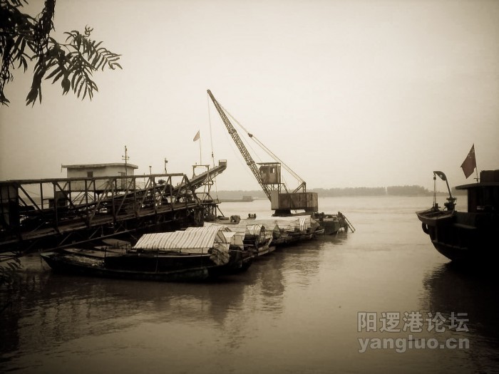 P020910_16.30-1.jpg