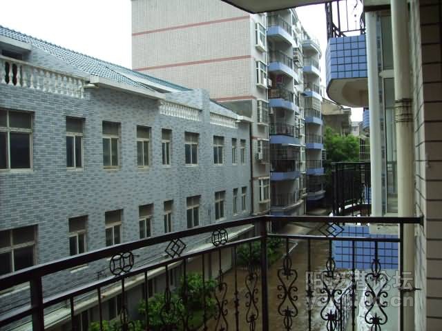 书房外景-小区环境2.JPG