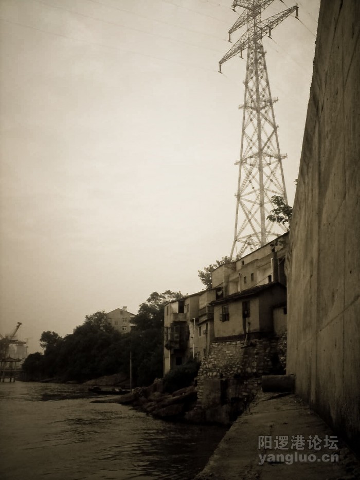 YL-3-1.jpg