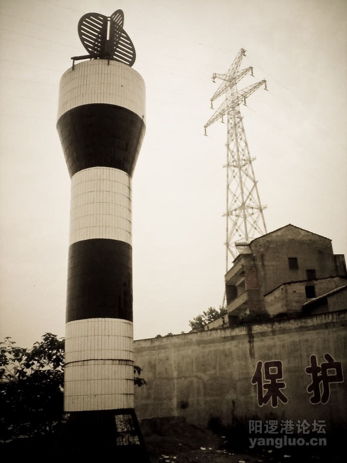 YL-6-1.jpg