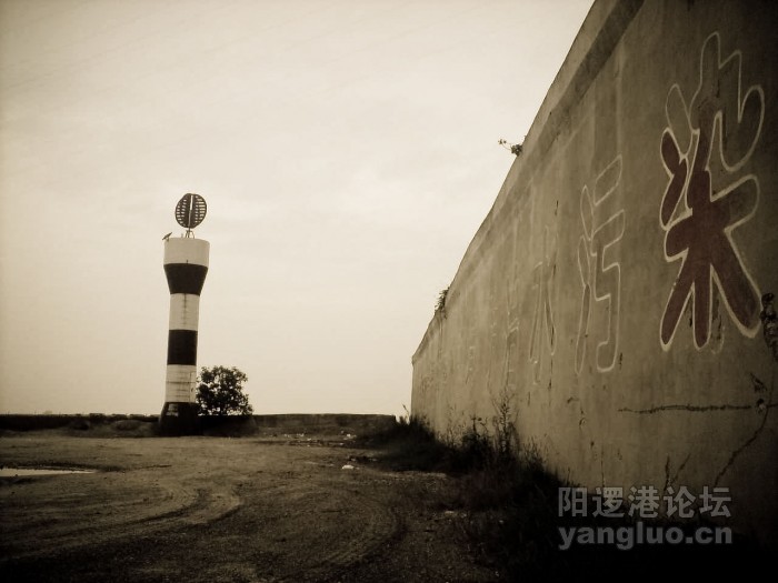 YL-8-1.jpg