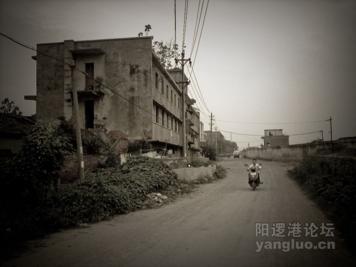 YL-12-1.jpg