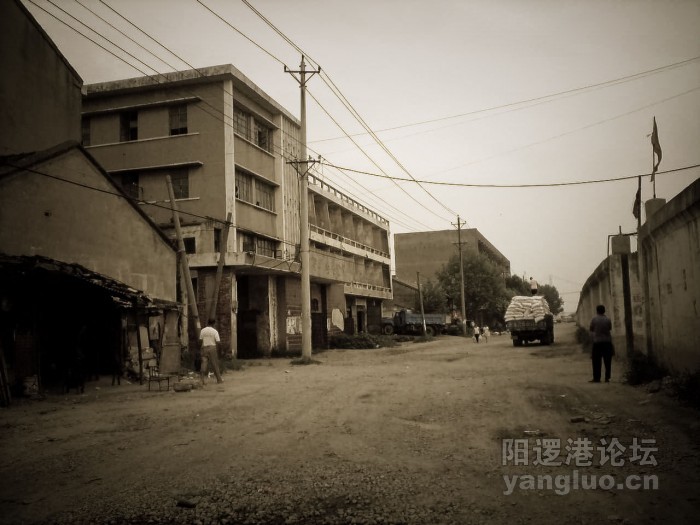 YL-14-1.jpg