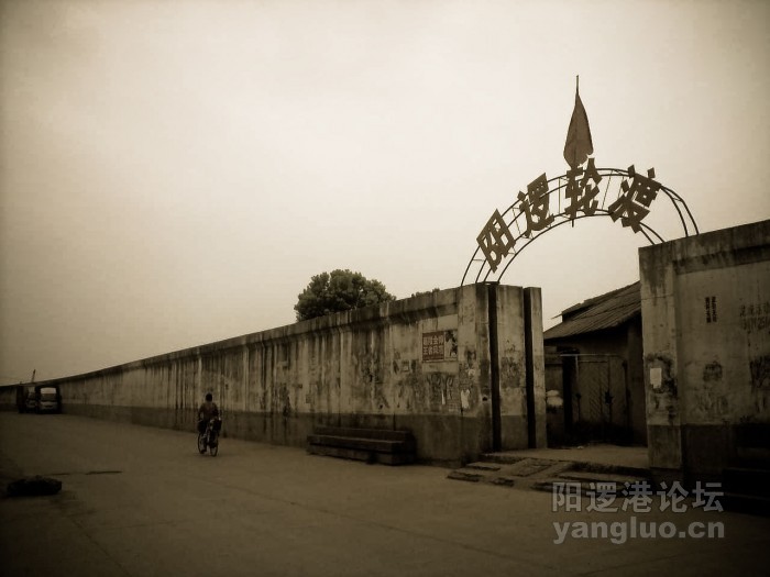 YL-17-1.jpg