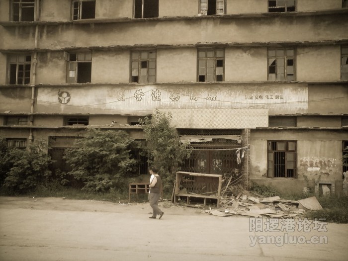 YL-55-1.jpg