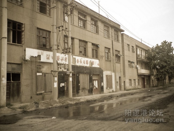 YL-56-1.jpg