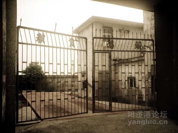 YL-96-1.jpg