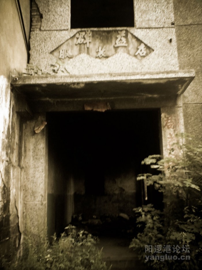 YL-35-1.jpg