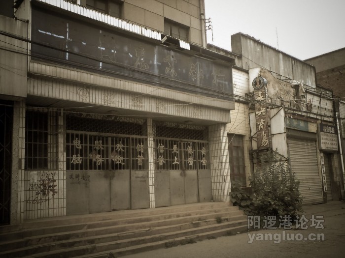 YL-36-1.jpg