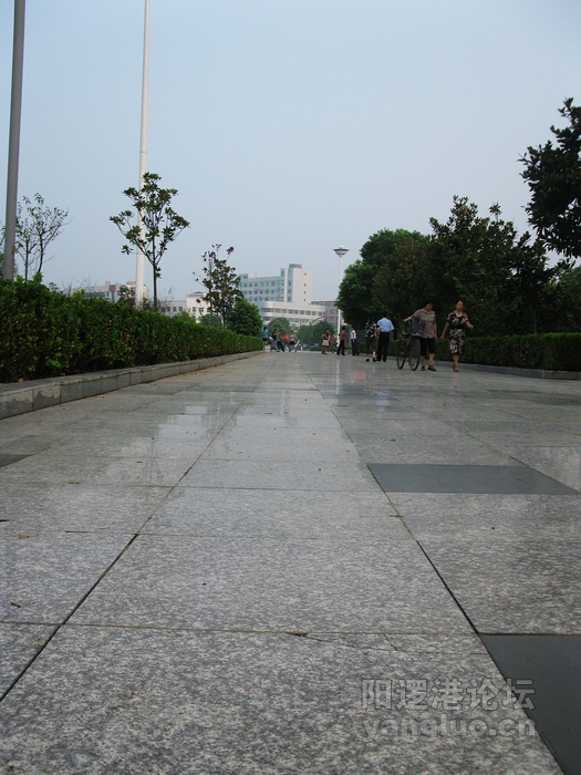 IMG_6465.jpg