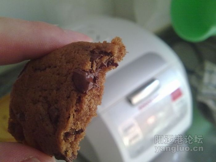 20100501776.jpg