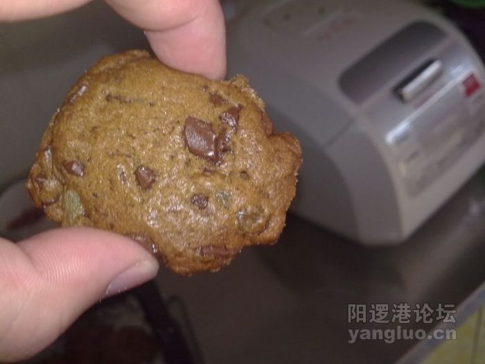 20100501773.jpg
