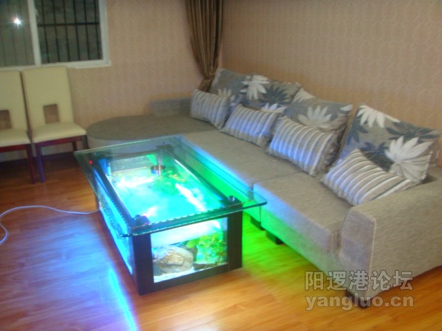 DSC04214.JPG