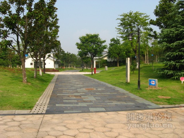 IMG_0062.JPG