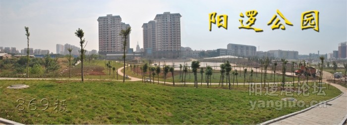 阳逻公园.jpg