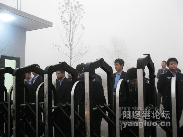 此图引自网友“破喇叭”贴
