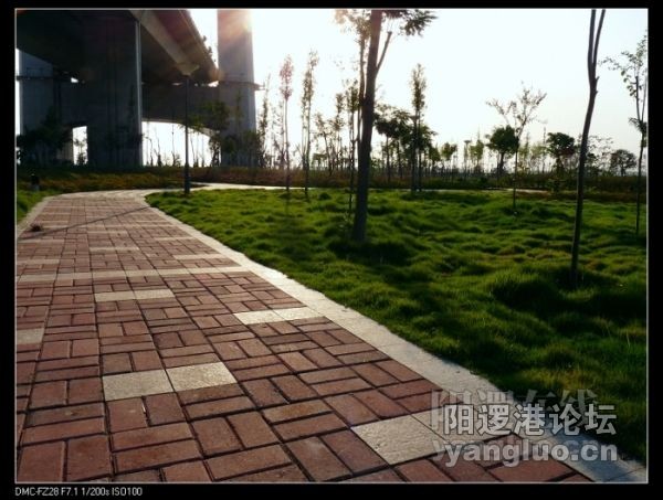 此图引自网友“破喇叭”贴
