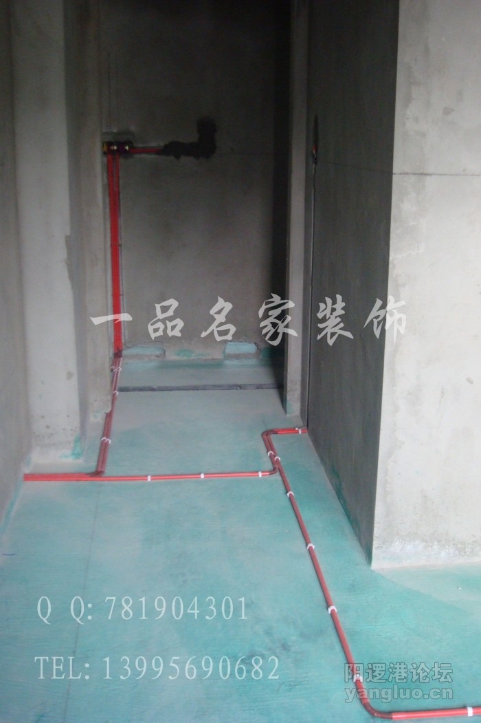 DSC03218.jpg