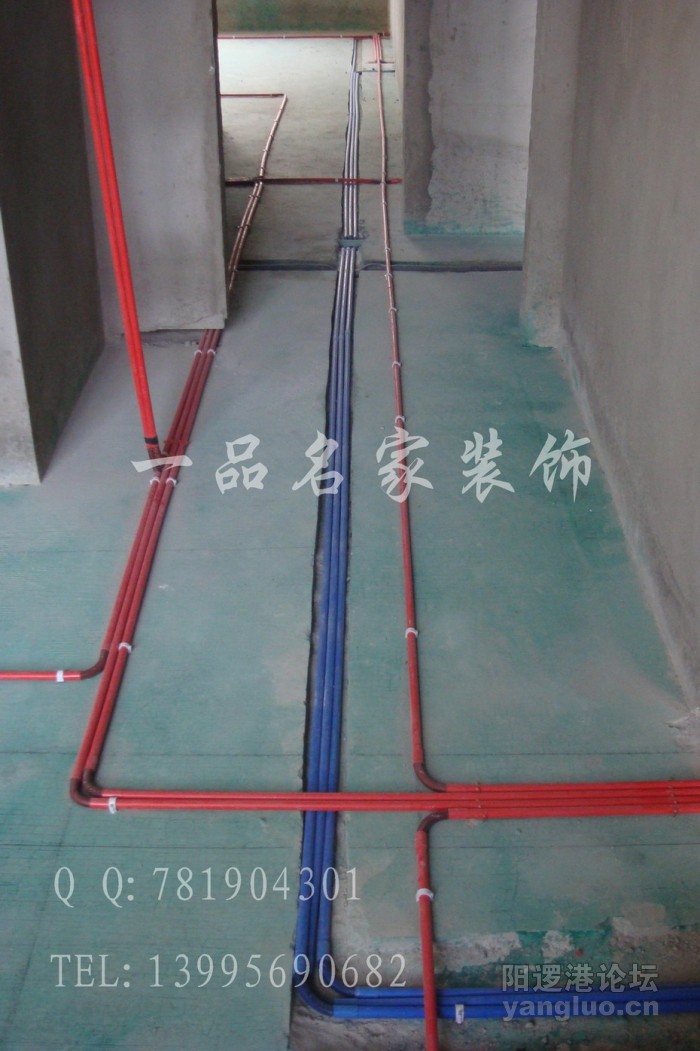 DSC03226.jpg