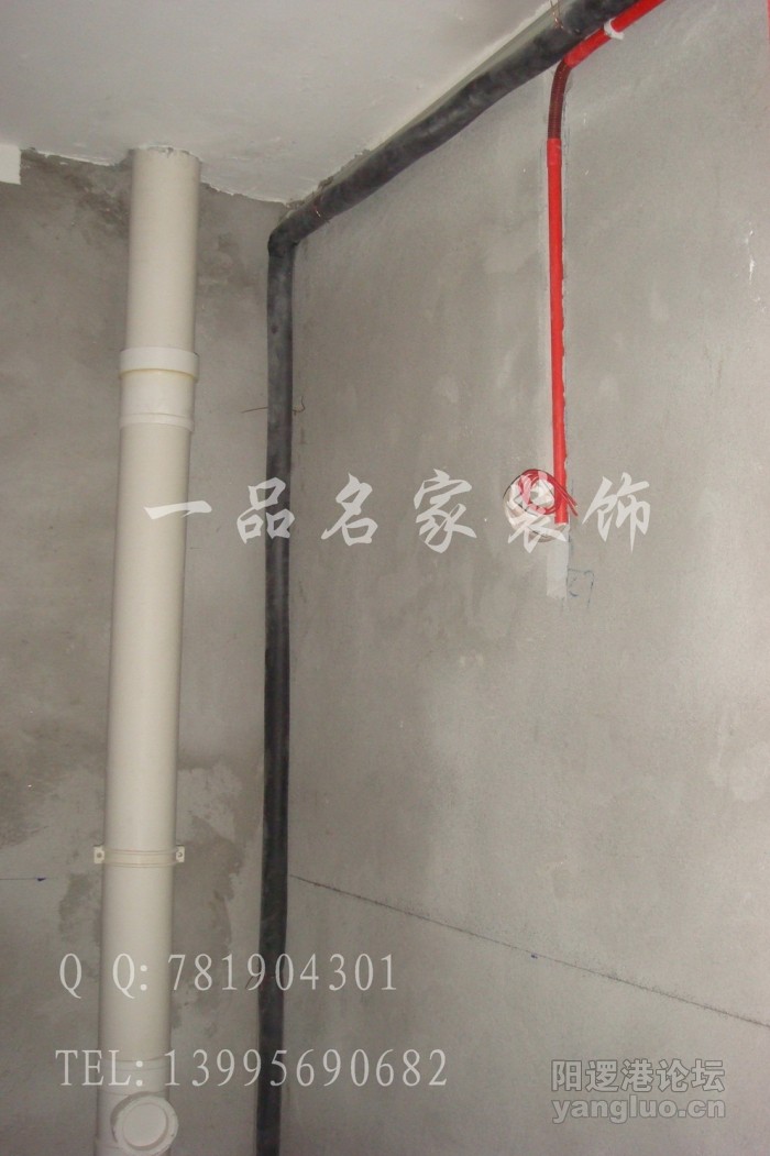 DSC03228.jpg
