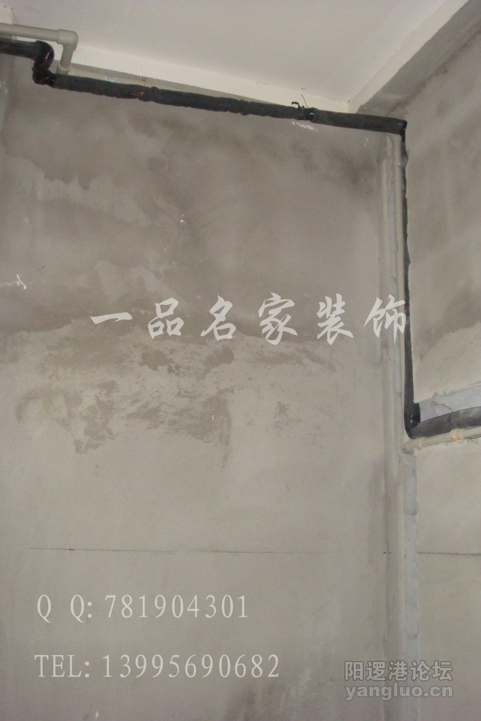 DSC03229.jpg
