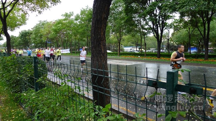 P1000403.jpg