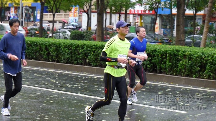 P1000409.jpg