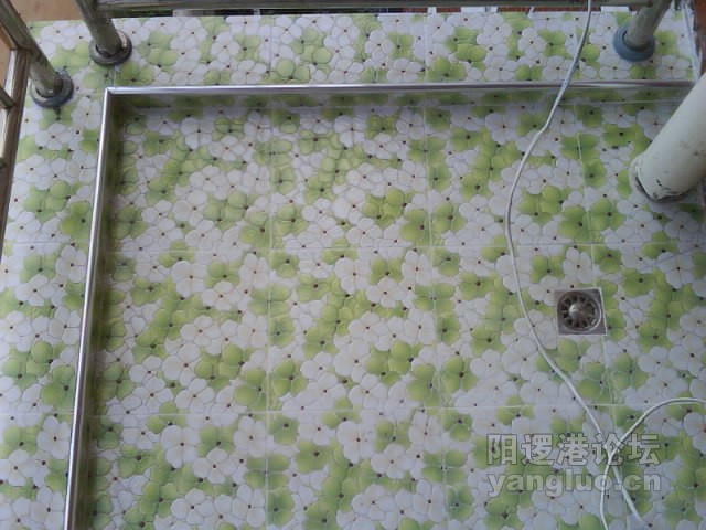 DSC00134.JPG