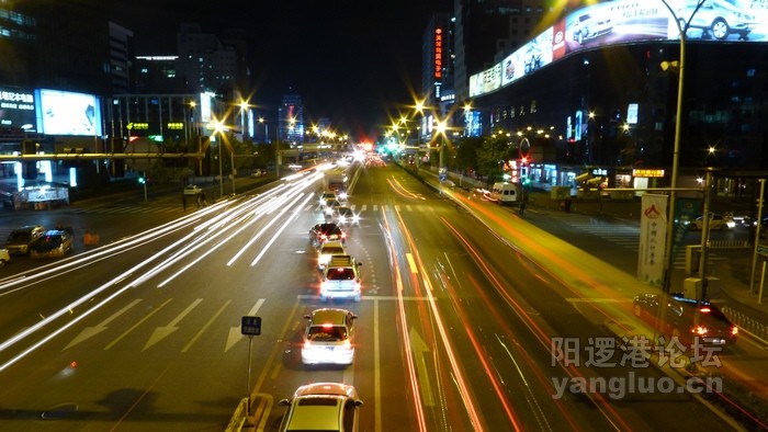 P1000452.jpg