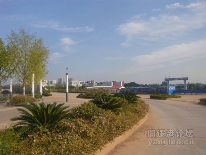 P1010986.jpg