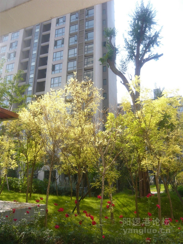 旋转 P1010936.jpg