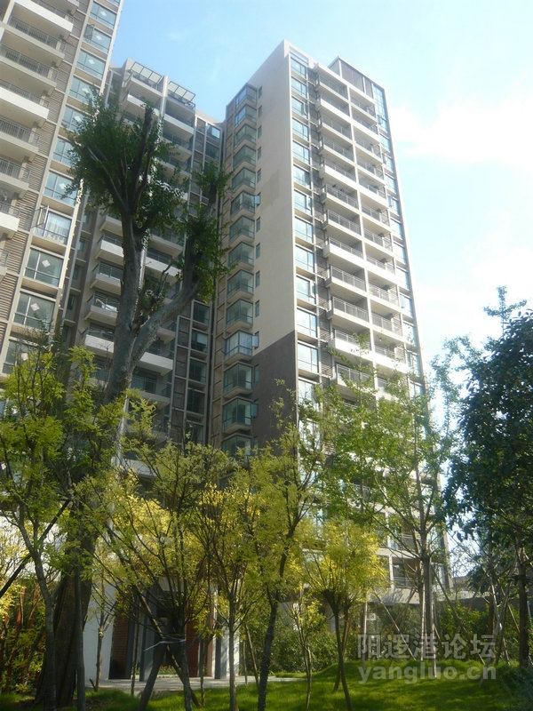 旋转 P1010956.jpg