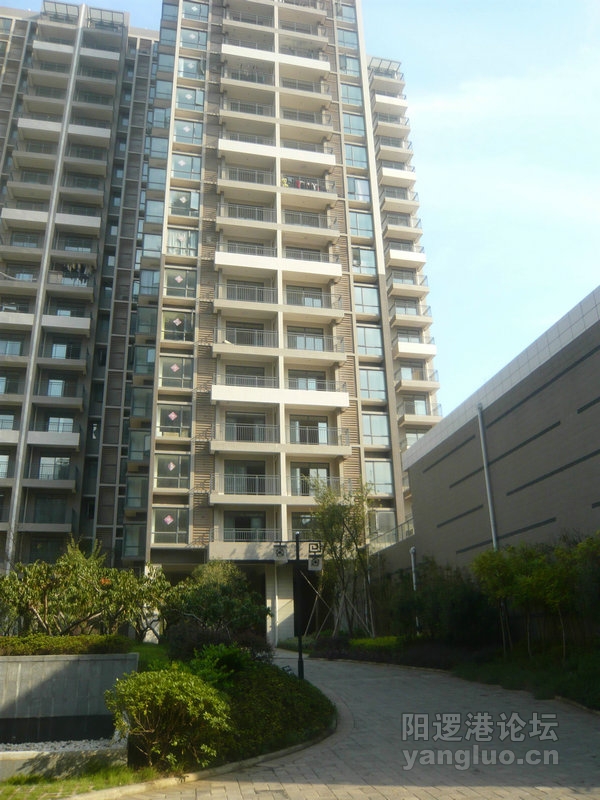 旋转 P1010975.jpg