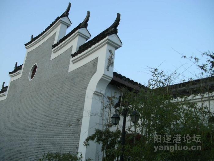 DSCK0101.JPG