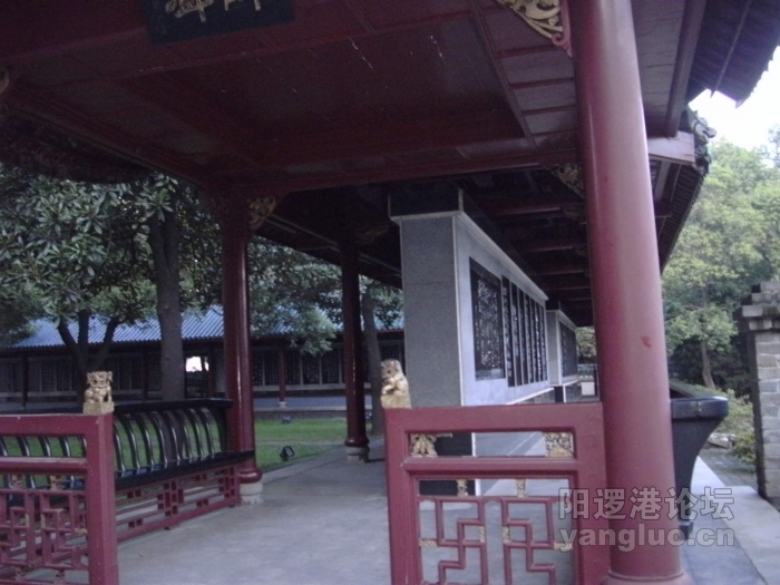 DSCK0110.JPG